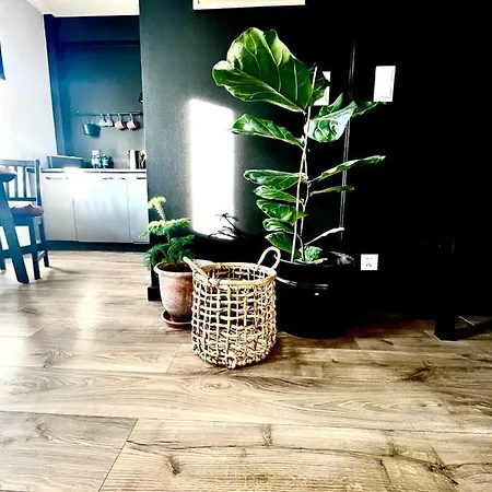 Apartament Gryf שצ'צ'ין